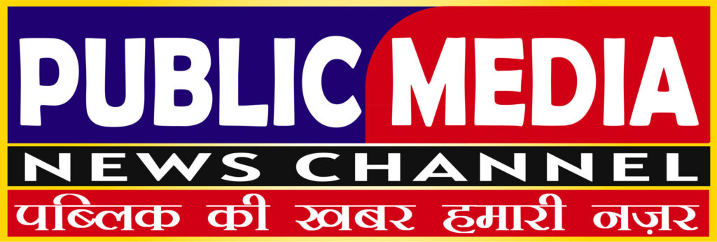 Public-Media-News-Channel-logo