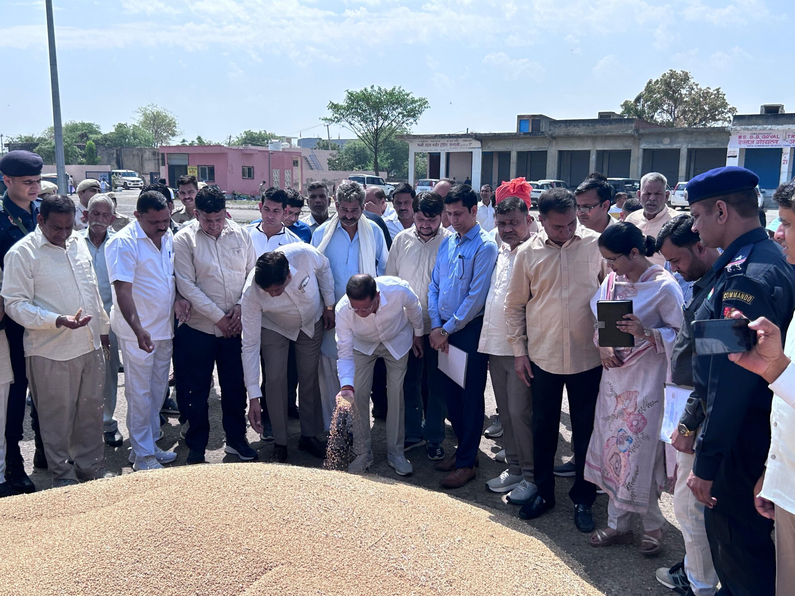 तिगांव अनाज मंडी में खाद्य एवं आपूर्ति मंत्री राजेश नागर का दौरा