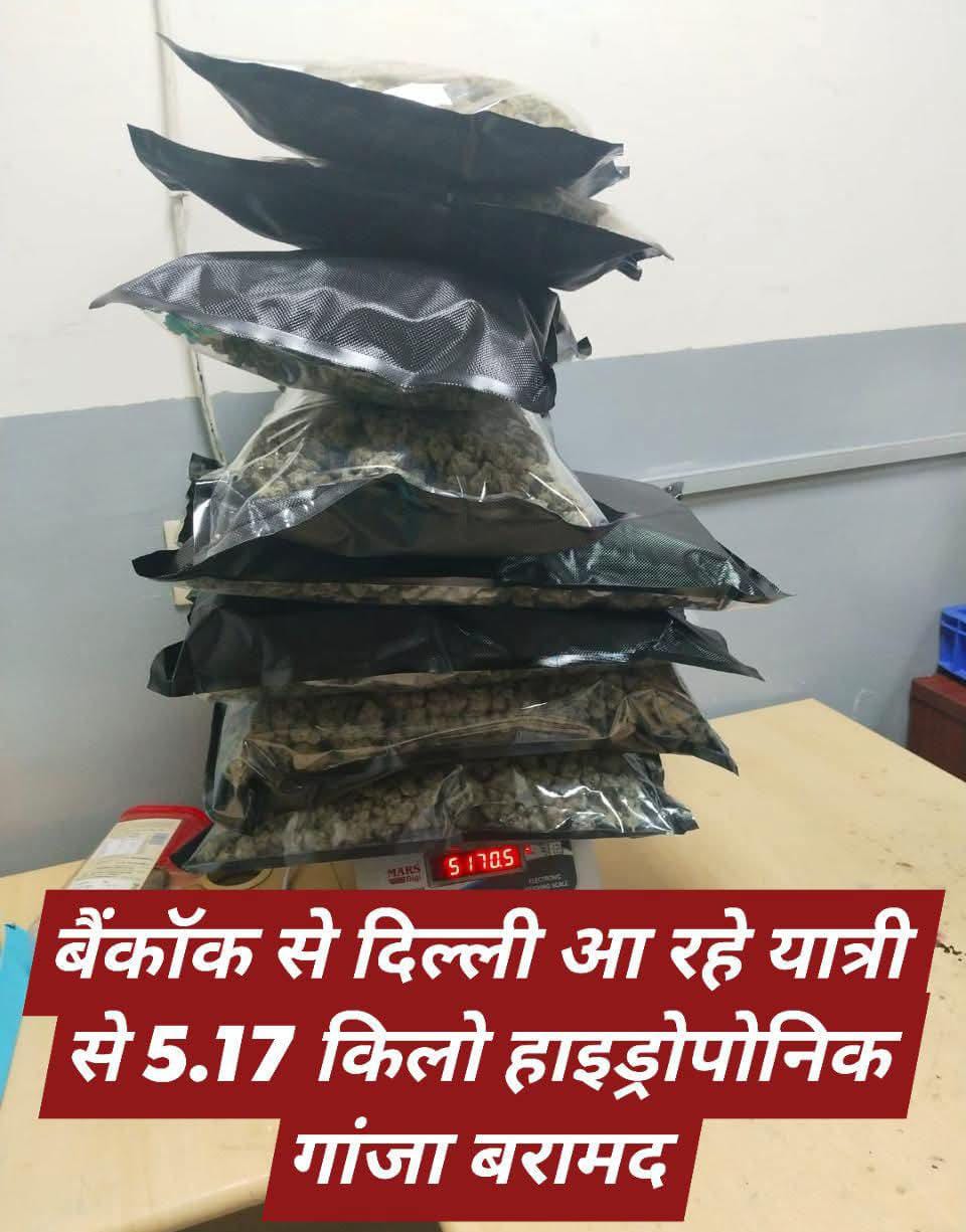बैंकॉक से दिल्ली आ रहे यात्री से 5.17 किलो हाइड्रोपोनिक गांजा बरामद, IGI एयरपोर्ट पर कस्टम्स की बड़ी कार्रवाई